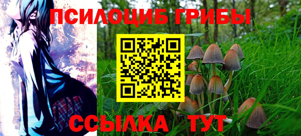 Скопин  Галлюциногенные грибы мицелий  цены наркотик  Вход с VPN  Галлюциногенные грибы Cubensis 